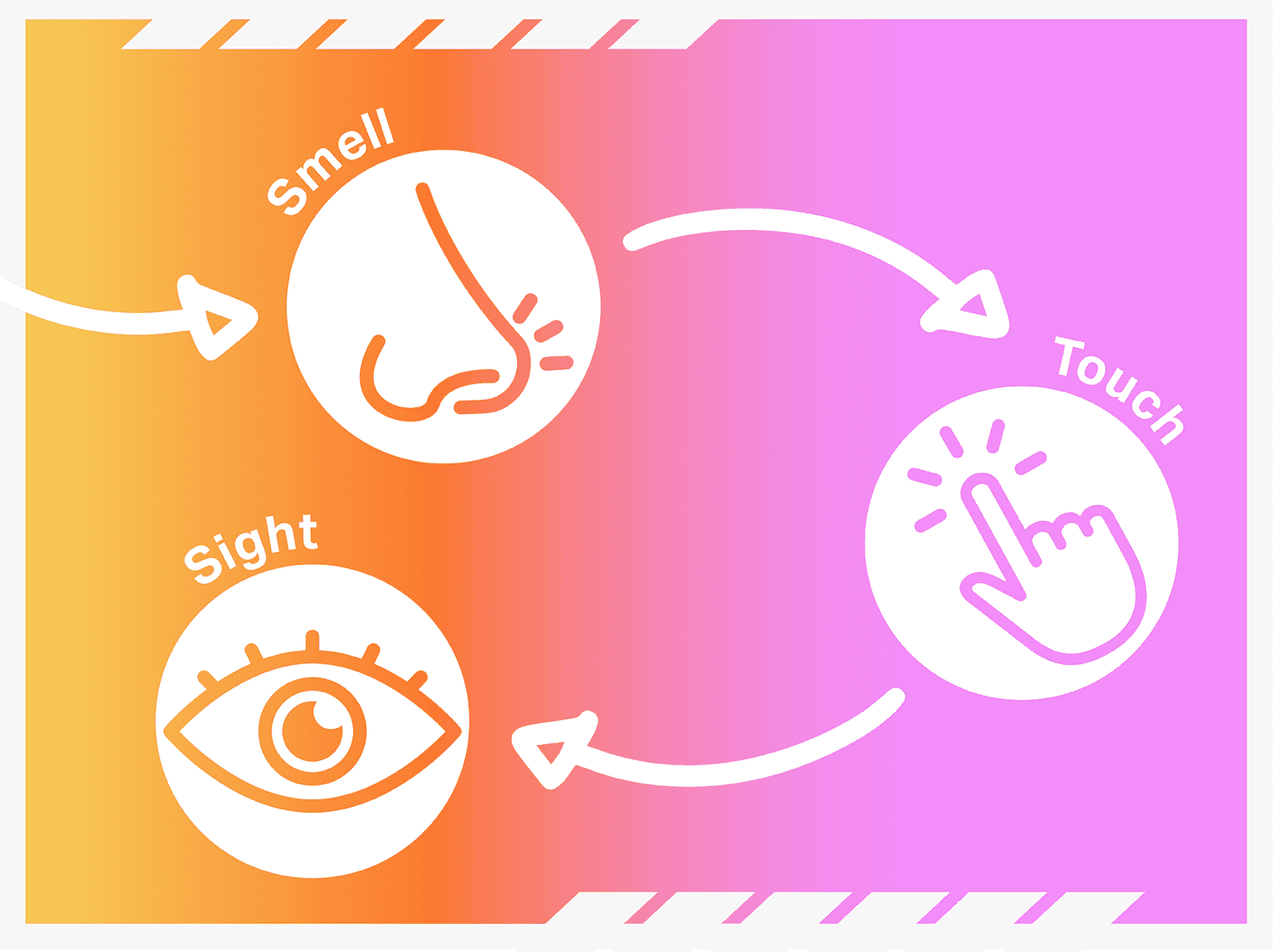 Orange and pink graphic featuring smell, touch, and sight senses